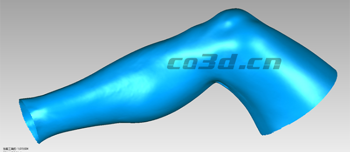 人體腿部三維掃描